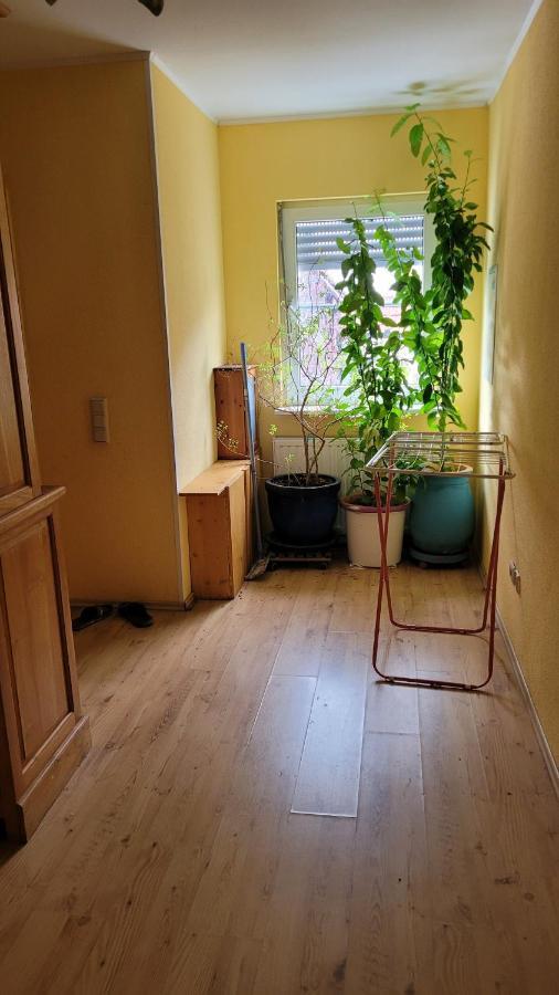 Selzen Villa Dış mekan fotoğraf